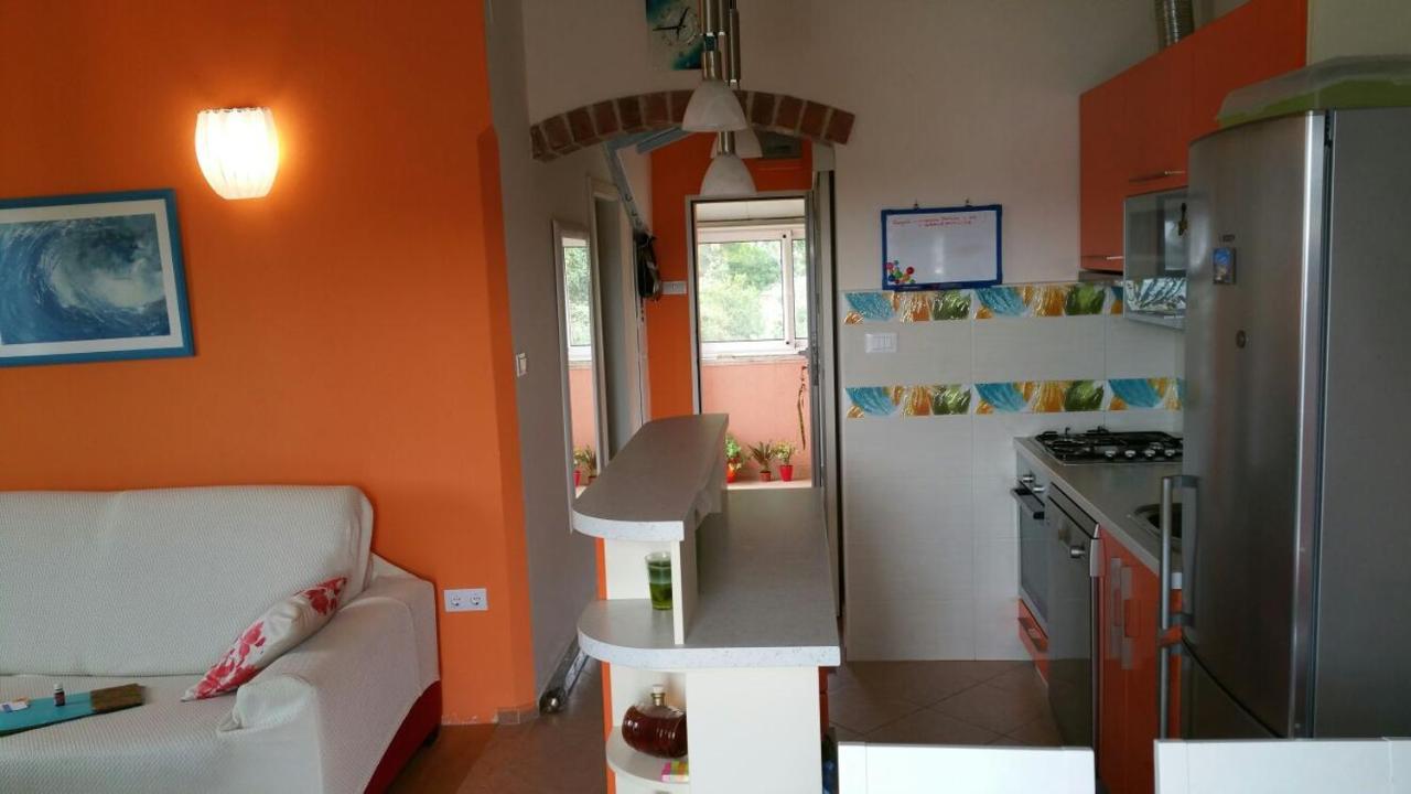 Tri Palme Apartment Đảo Prvić Ngoại thất bức ảnh